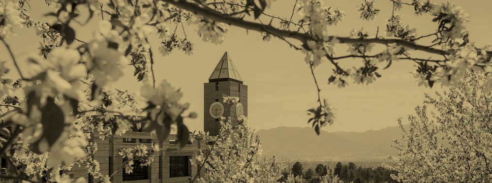 Golden tinged image of the spire of Kramer Family Library